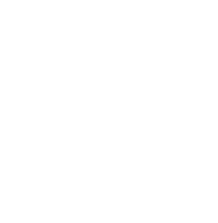 Bizpaye Payment Services